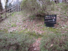 高岡市観光協会のブログ-かたかご（射水神社）