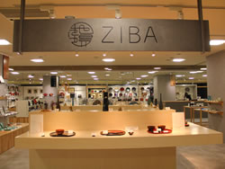 (1) 타카오카 지역 지방 특색 산업 센터 (ZIBA)