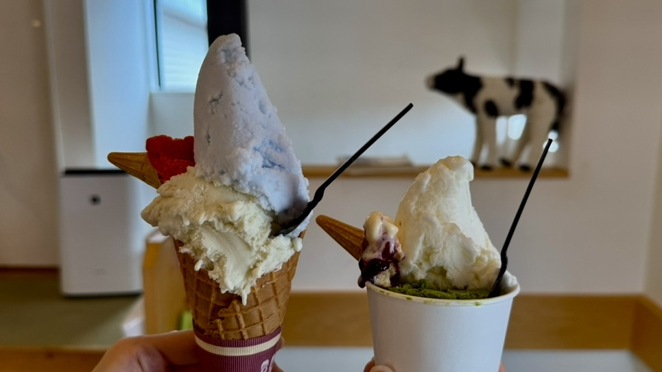 高岡の絶品アイス&ソフトクリーム5選!夏に食べたいインスタ映えスイーツ