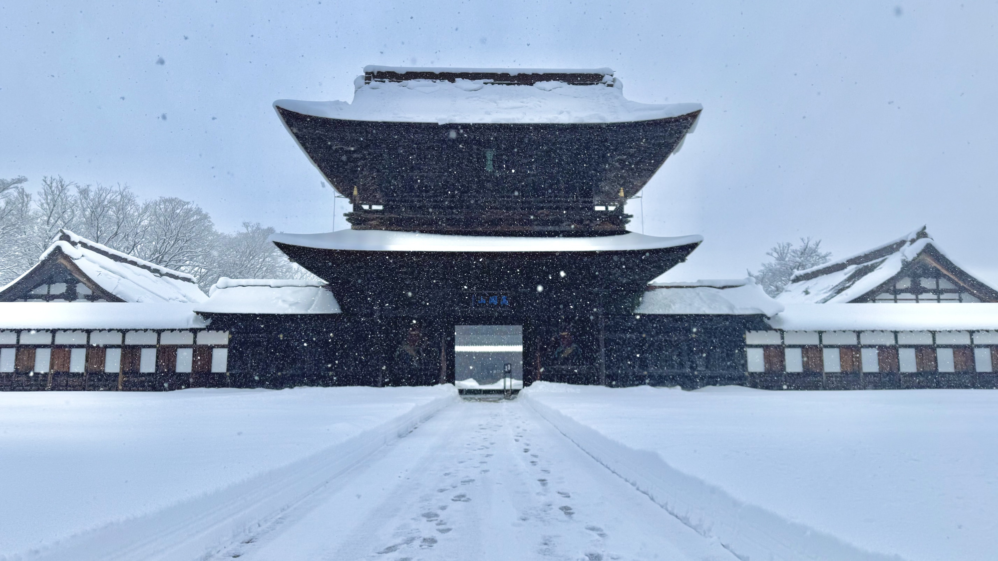 雪の道を進みます