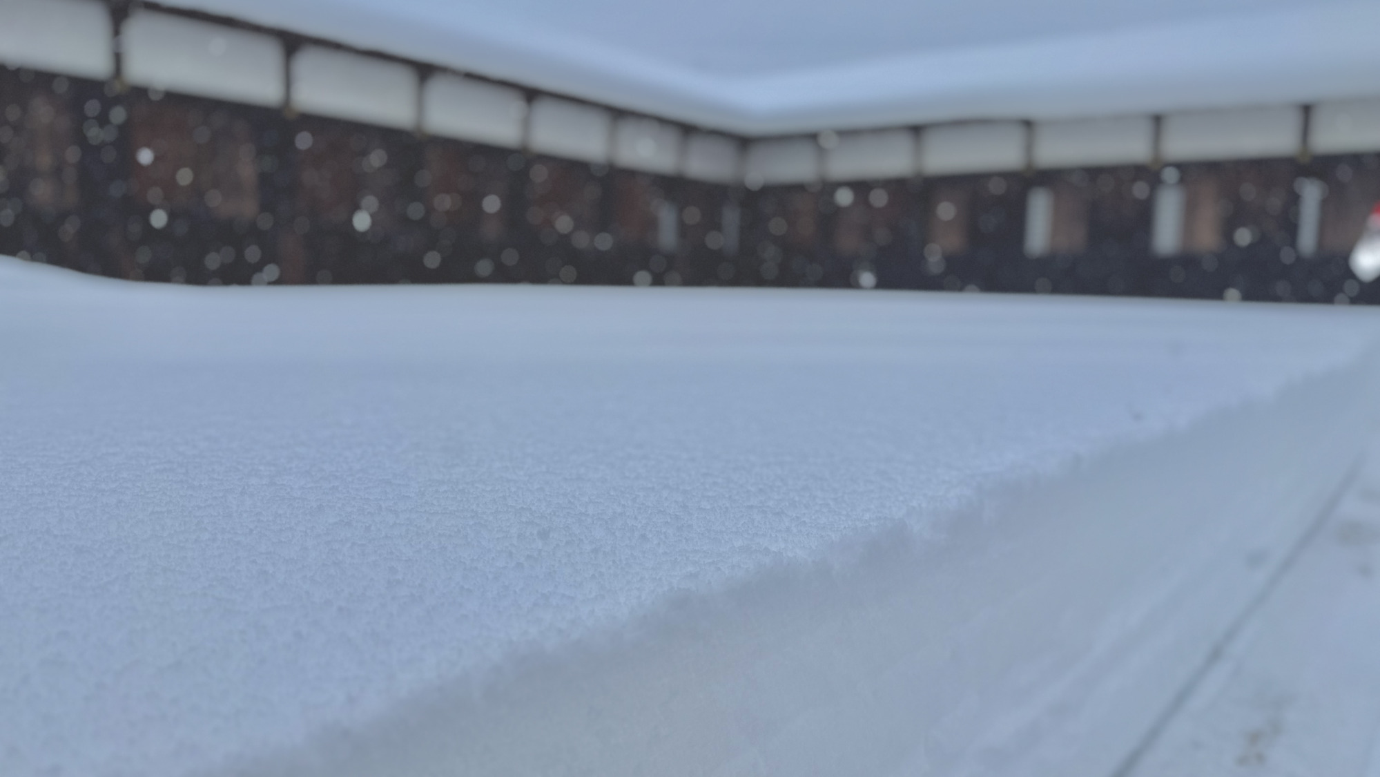 ふかふかの雪が降り積もります