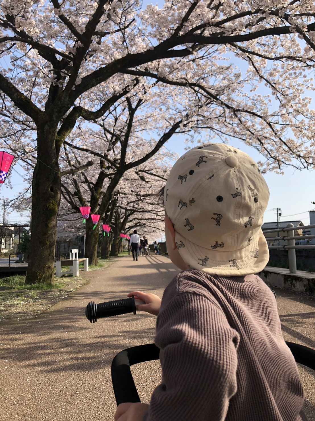 お子さんとの定番お散歩コースとのことです（写真提供：角田悠紀　高岡市長）