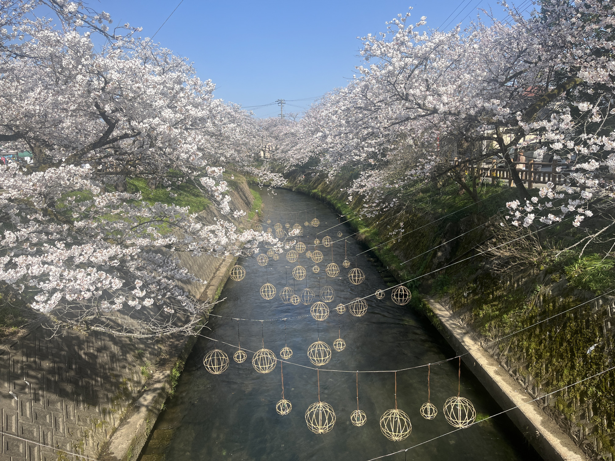 昼も素敵ですが、ライトアップされると更に幻想的な景色に