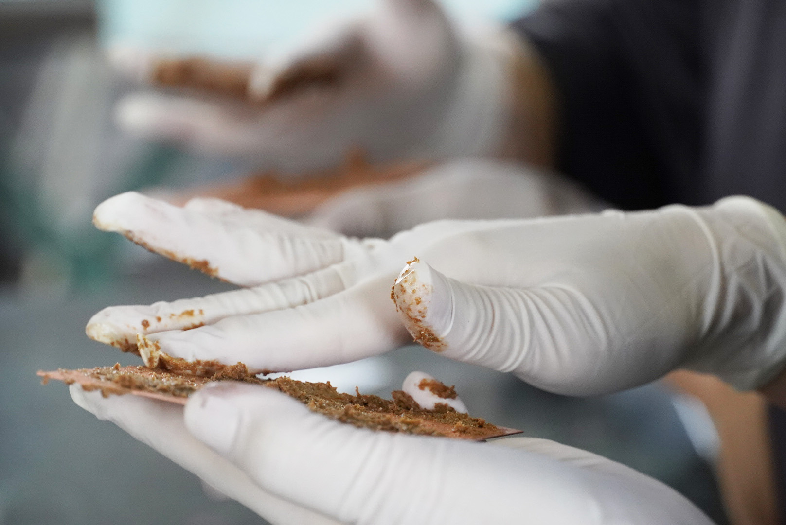 糠を銅板に塗る作業