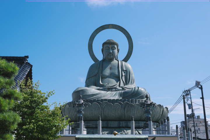 観光素材資料
