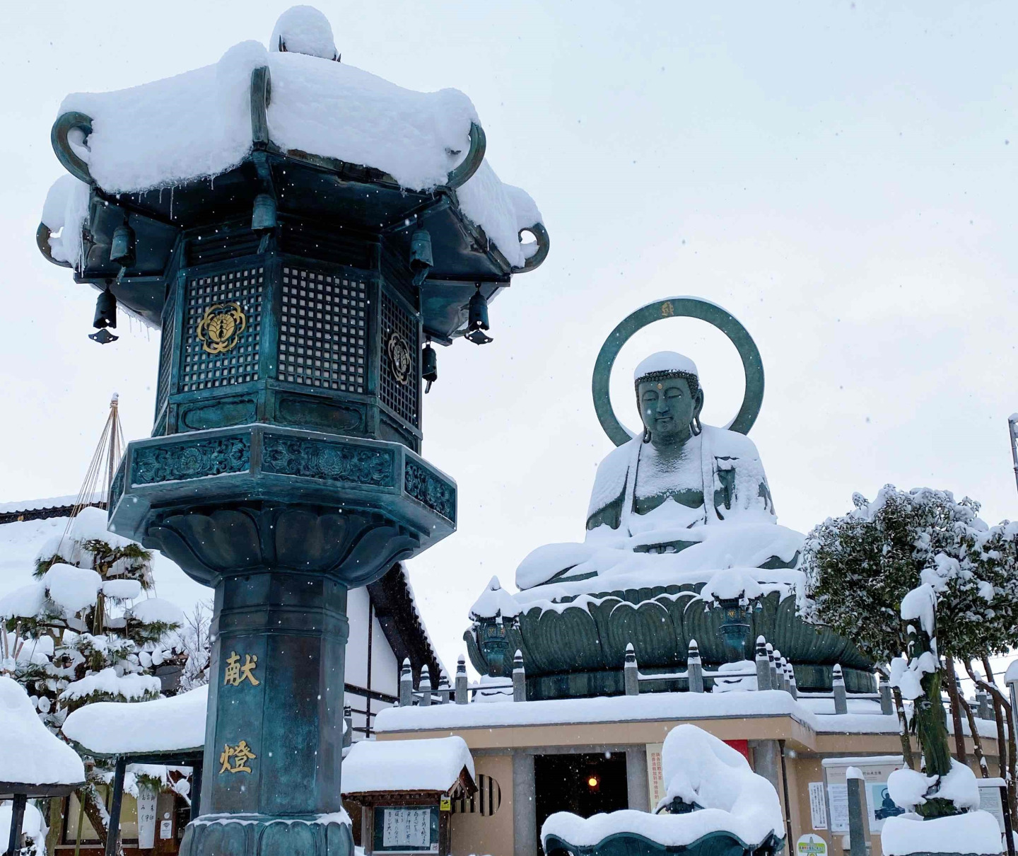 家族旅行にもおすすめ！冬の高岡満喫コース