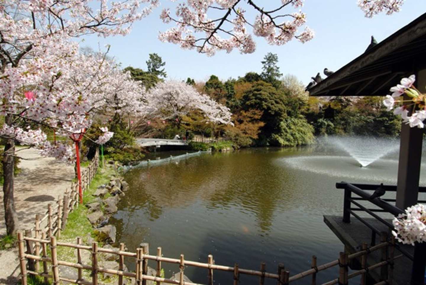 四季折々の景色を楽しむことができます