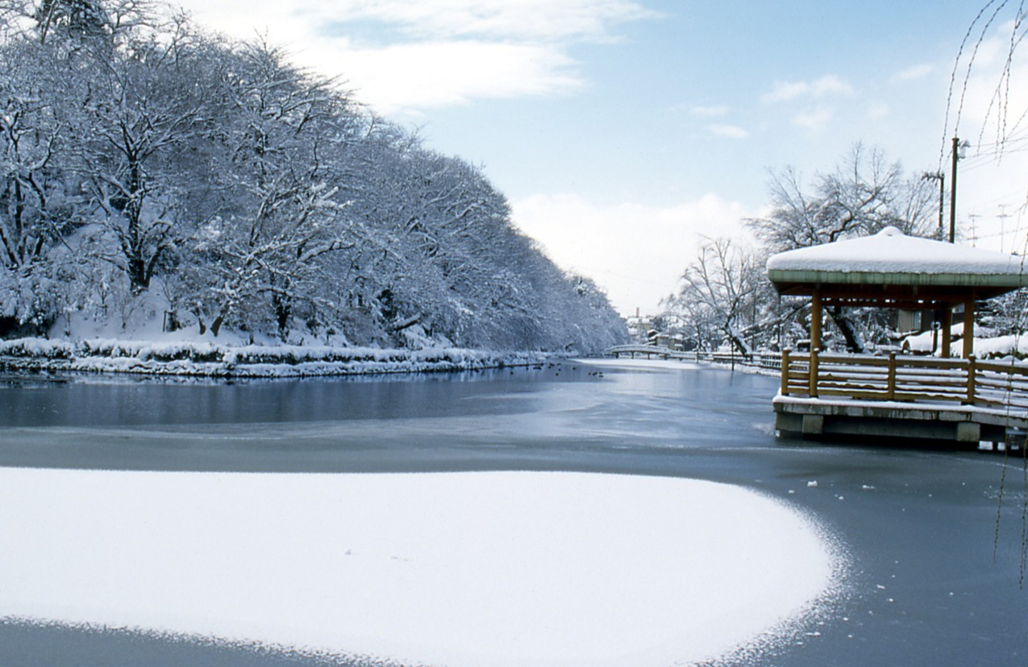 雪の古城公園濠