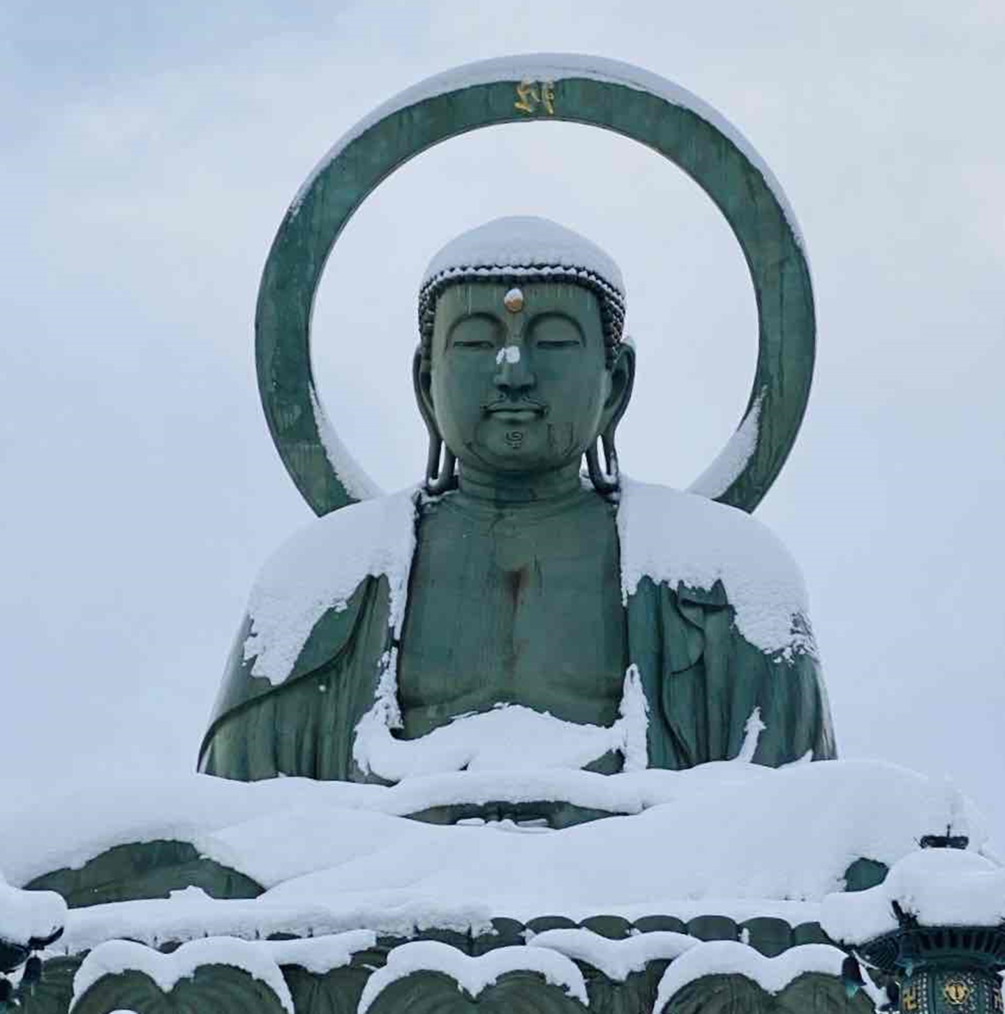 鼻の頭に雪