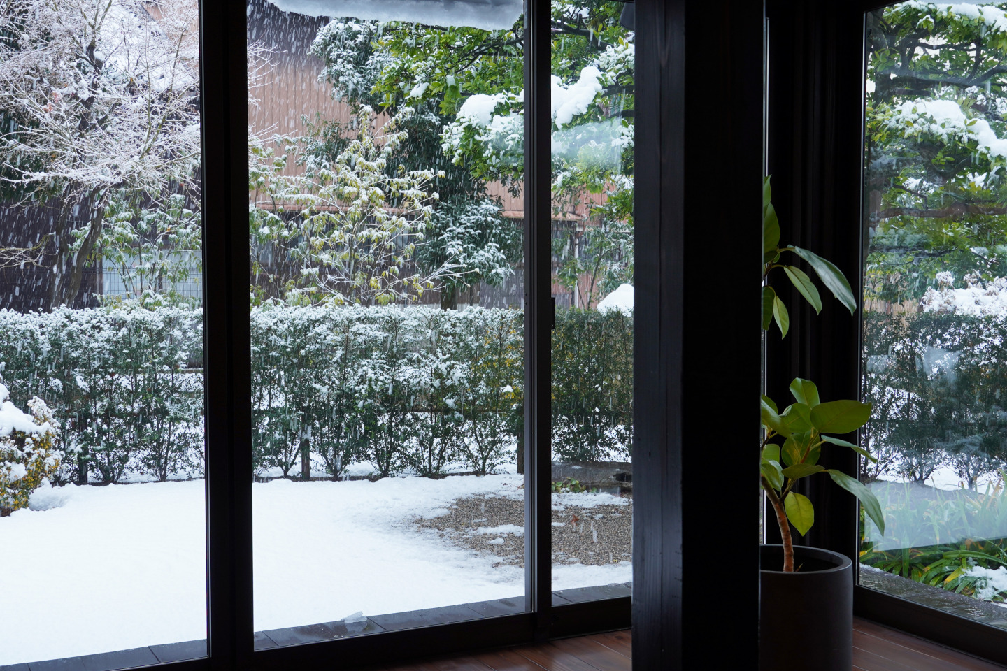 店内からの景色
