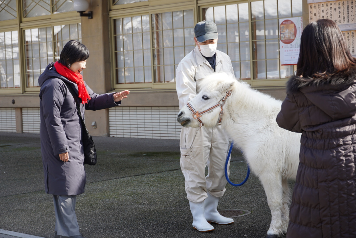 偶然、アメリカンミニチュアホースに遭遇!