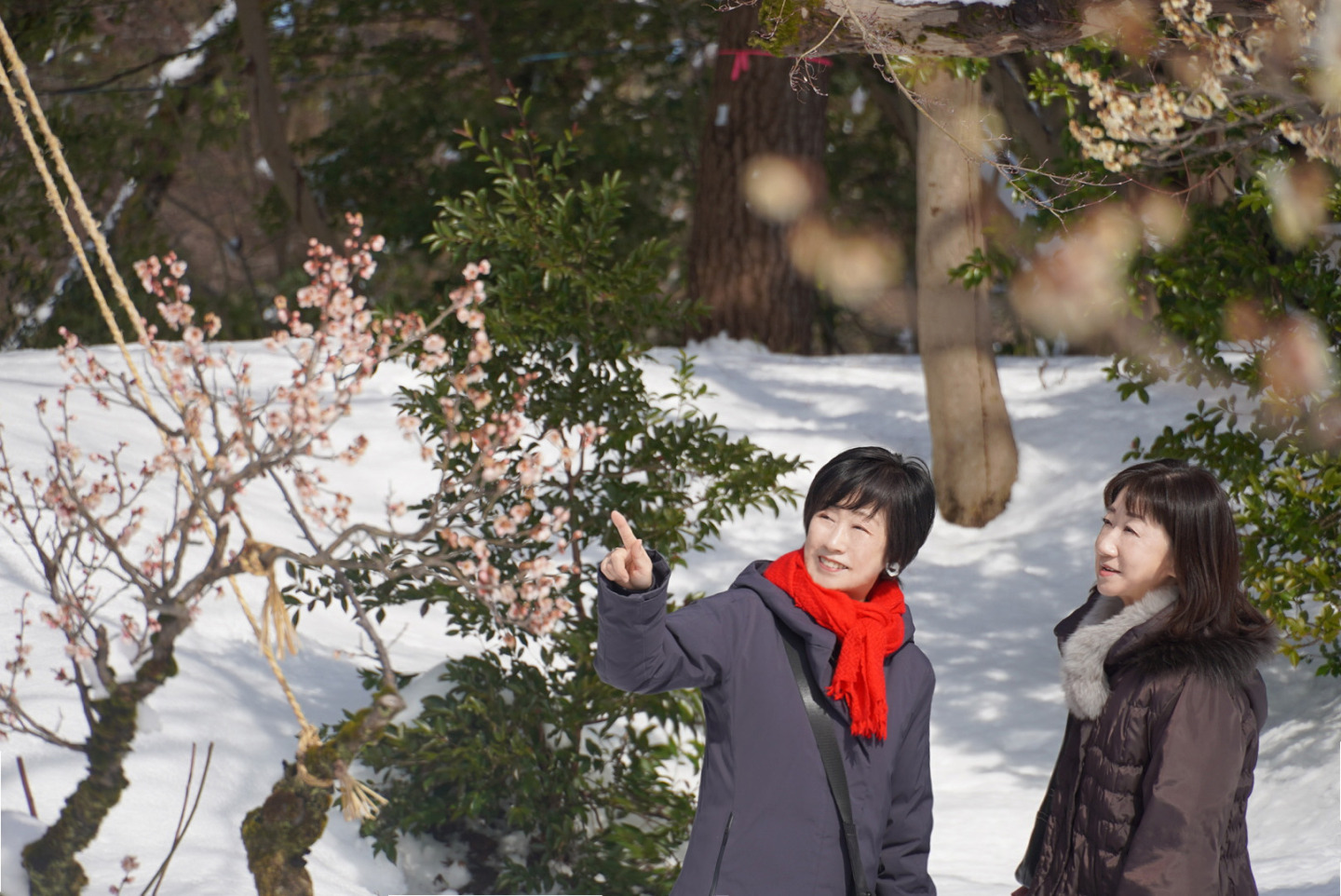 春を待ち遠しく思いながら...