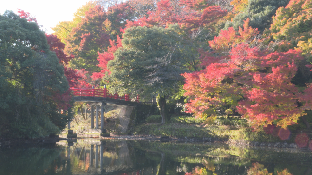 9高岡古城公園(紅葉)