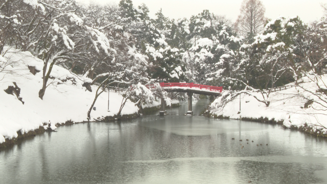10 高岡古城公園(冬)