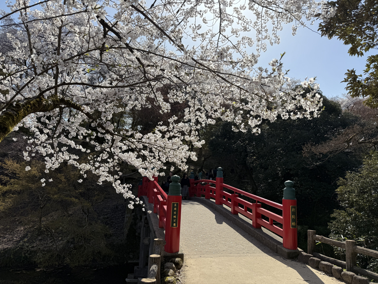 朝陽橋