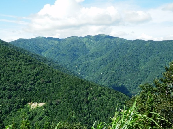金剛堂山