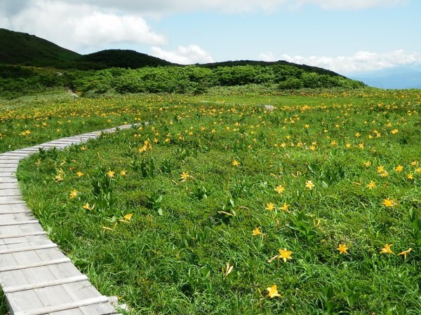 白木峰　21世紀の森・森林学習展示館