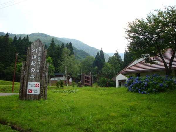 写真右奥が森林学習展示館