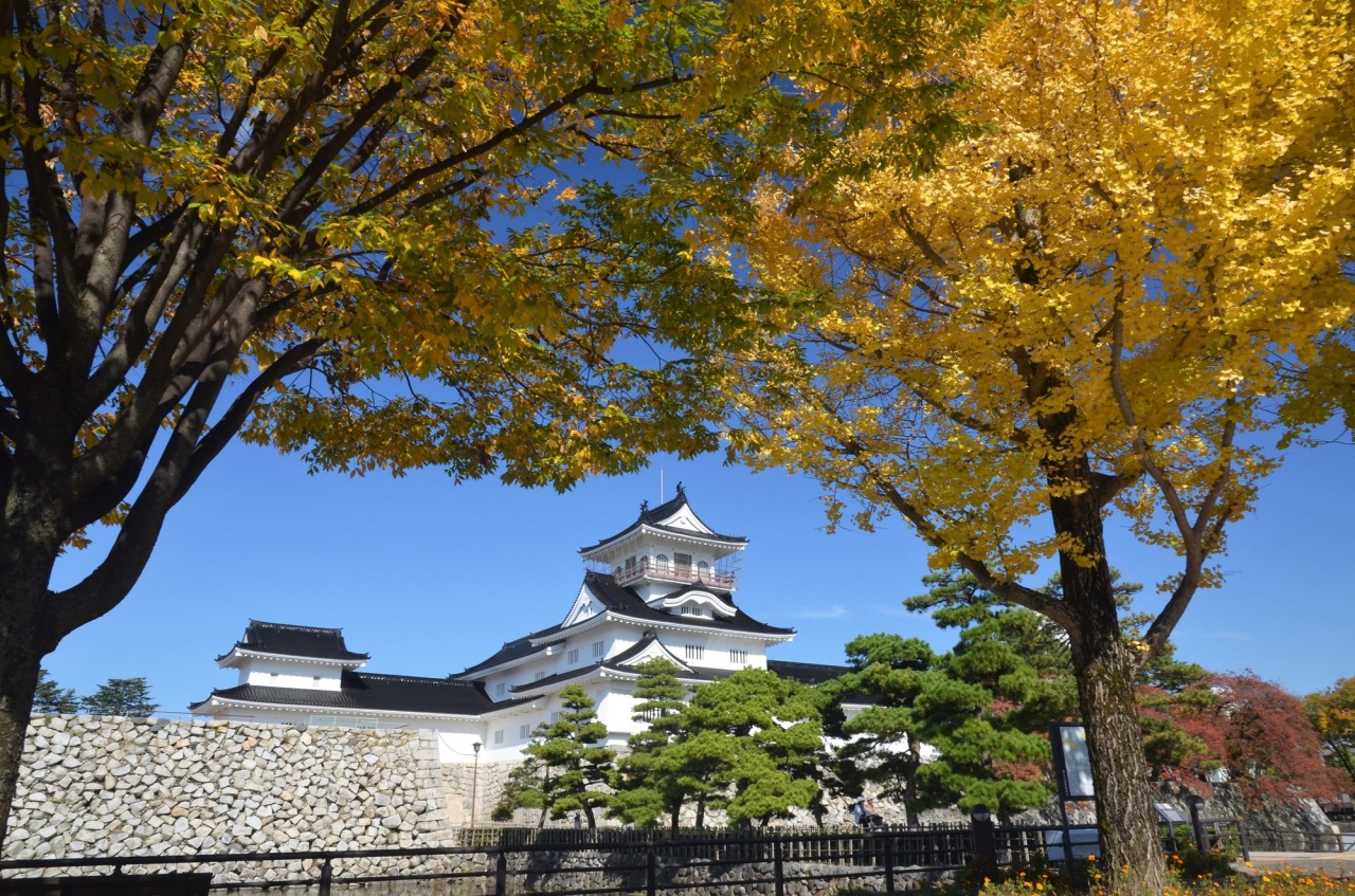 美しい紅葉も見ごたえ十分