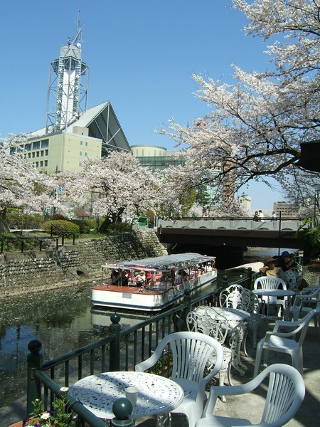 松川の桜越しに見る展望台