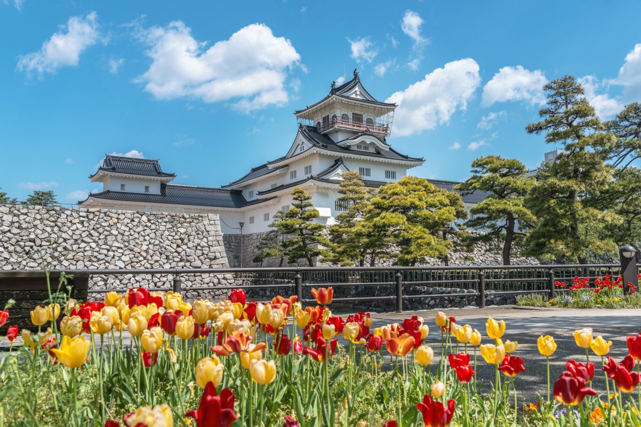 色とりどりの花々も富山城を彩ります