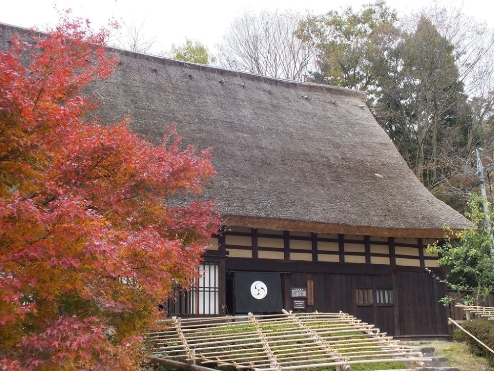 紅葉の見頃時期:10月下旬から11月中旬「民芸合掌館」