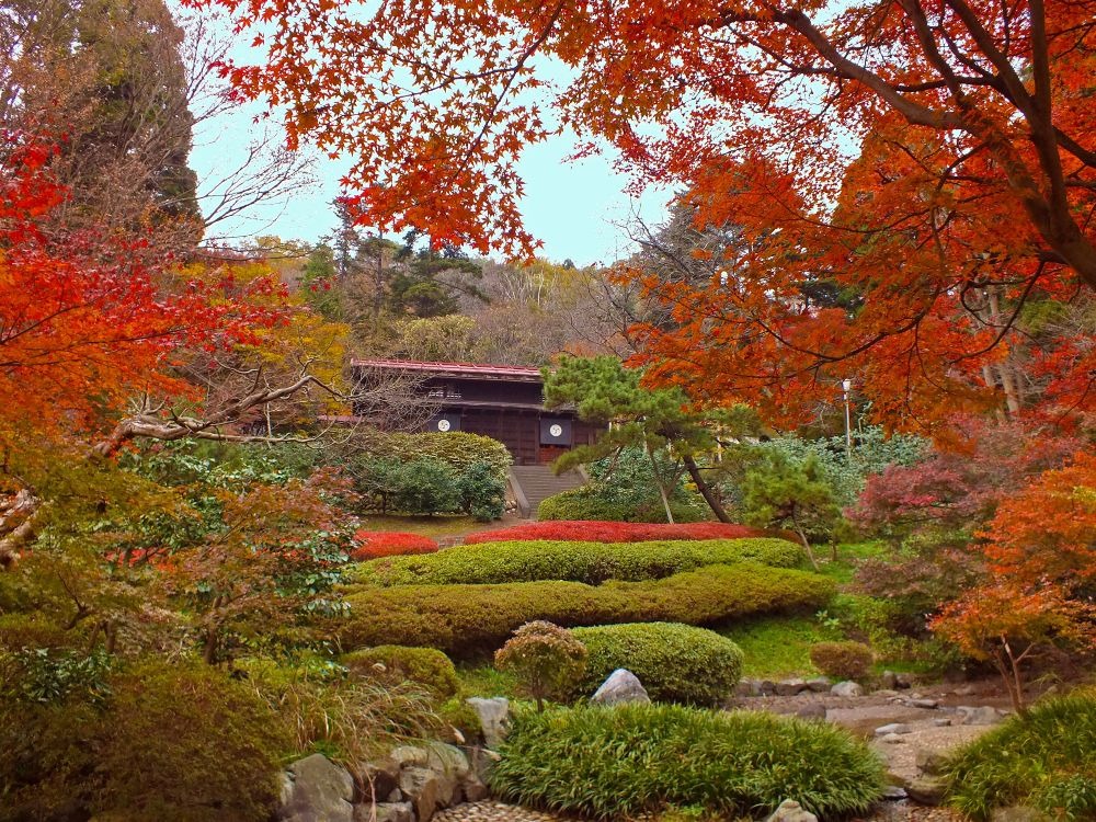 紅葉の見頃時期:10月下旬から11月中旬「民芸館」