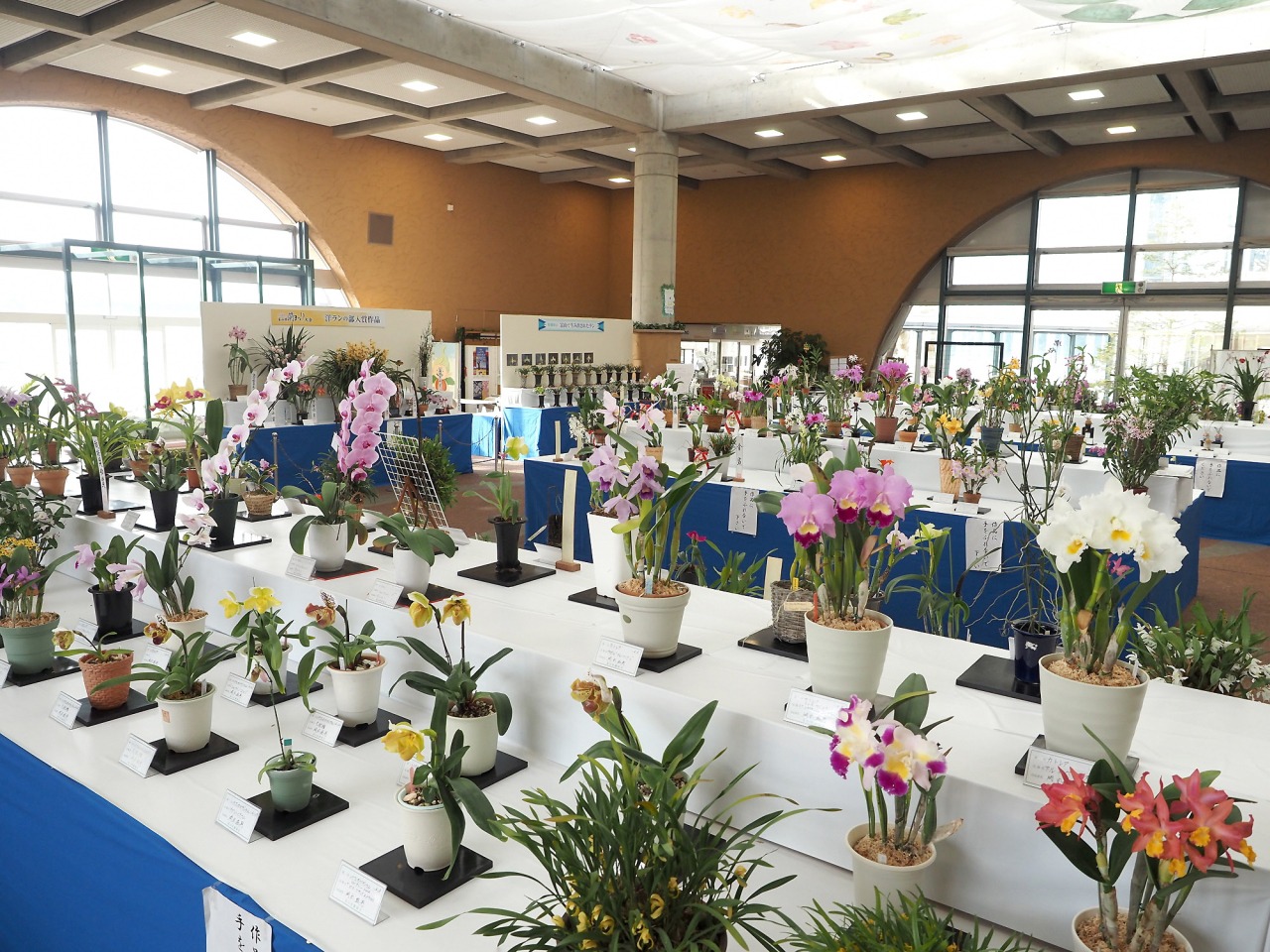 中央植物園のイベントの様子