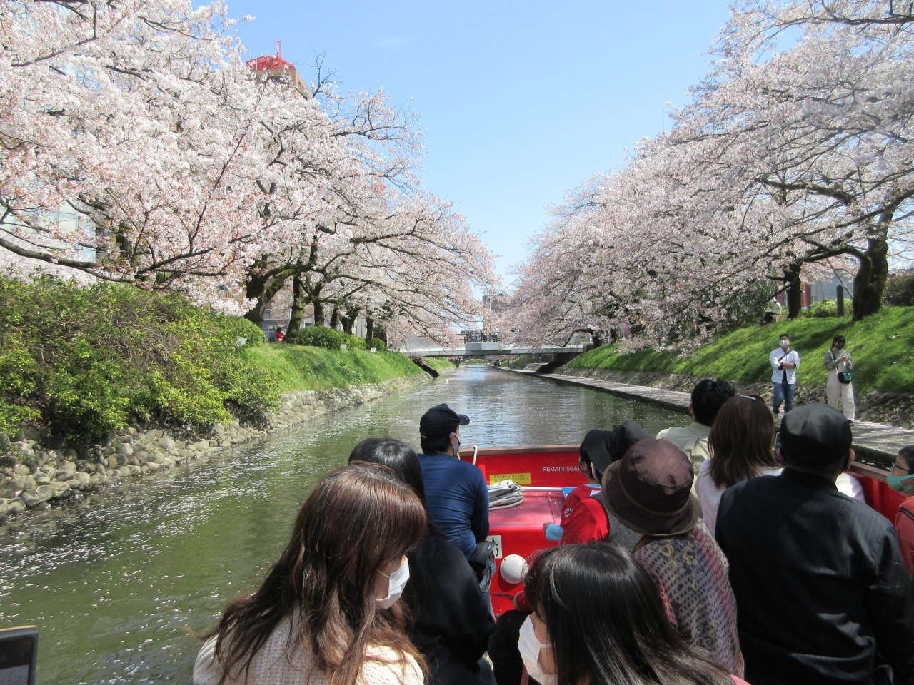 ゆらゆら揺れながらのお花見は最高！