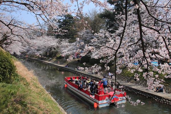 春は桜！