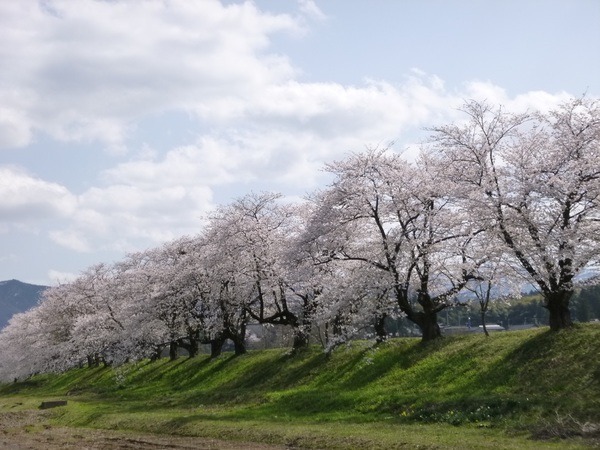 どれだけ見ても見飽きません