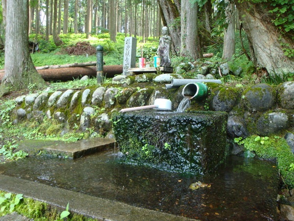 桂の清水
