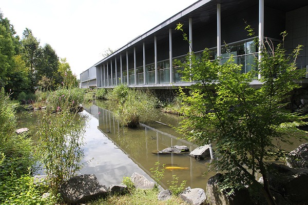 池が自慢の庭