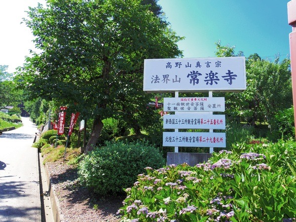 お寺は緑に包まれる
