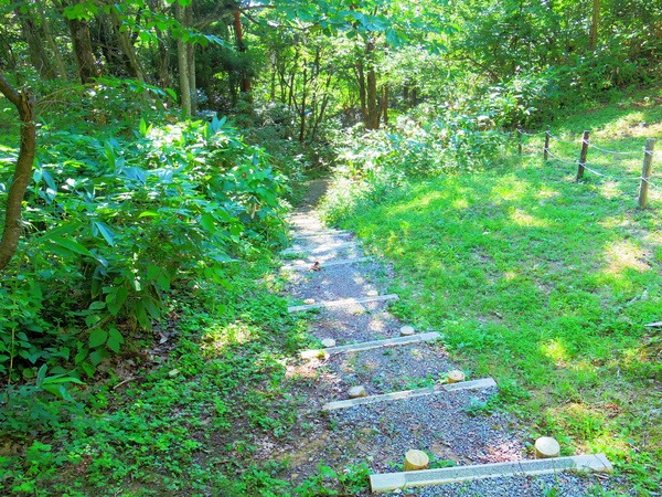 園内の散策路を行くと…