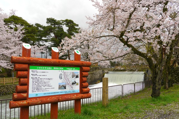 手入れされた堤防が続きます