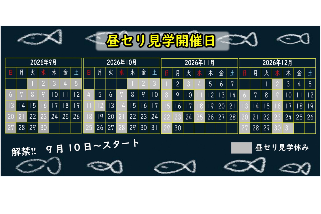2026年9月10日～【高志の紅がに】昼セリ見学が始まります