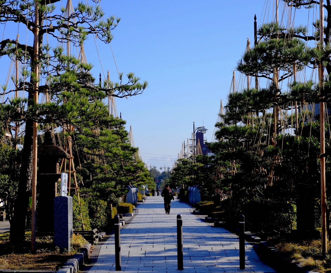 とやまビューポイント「瑞龍寺門前 から見る 八丁道」