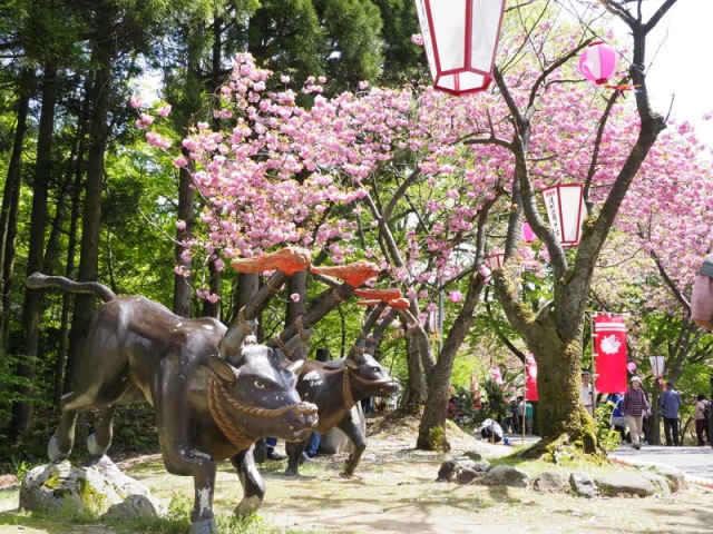 倶利伽羅県定公園
