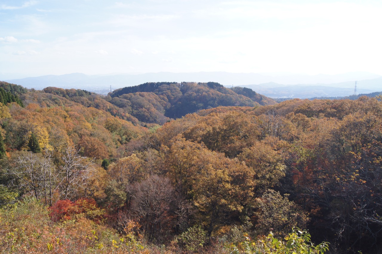 とやまビューポイント「倶利伽羅峠 の 紅葉」