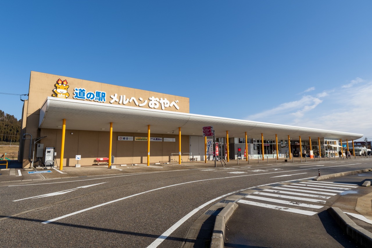 建物の裏にはドッグランや大型遊具が