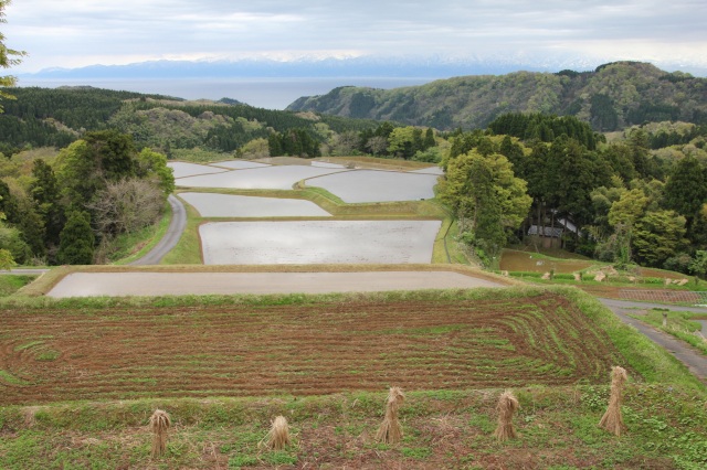 長坂の棚田