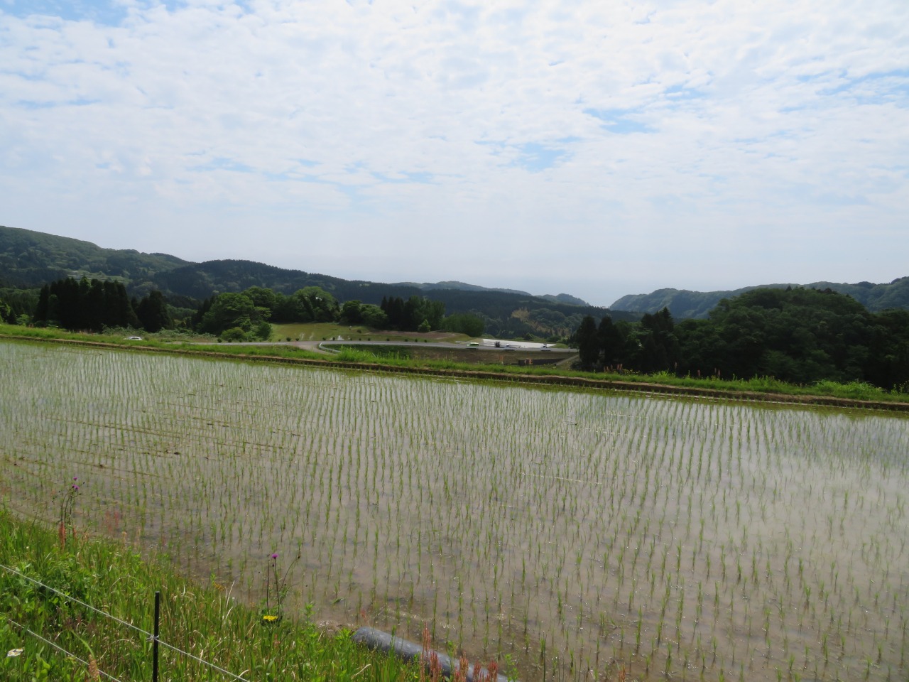 水を張った田んぼ越しの眺めにも癒されます