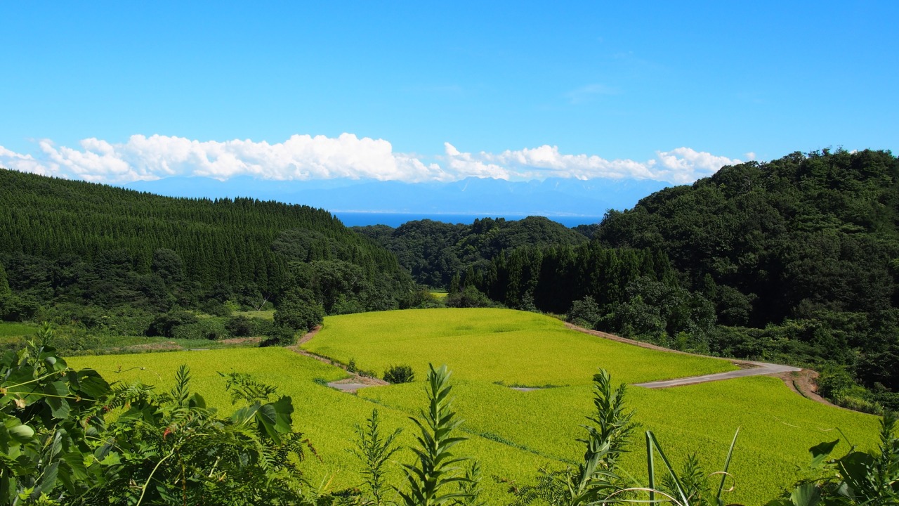 さすが、日本の棚田100選に選ばれた美しい風景です