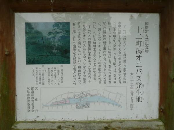 オニバス発祥地の案内