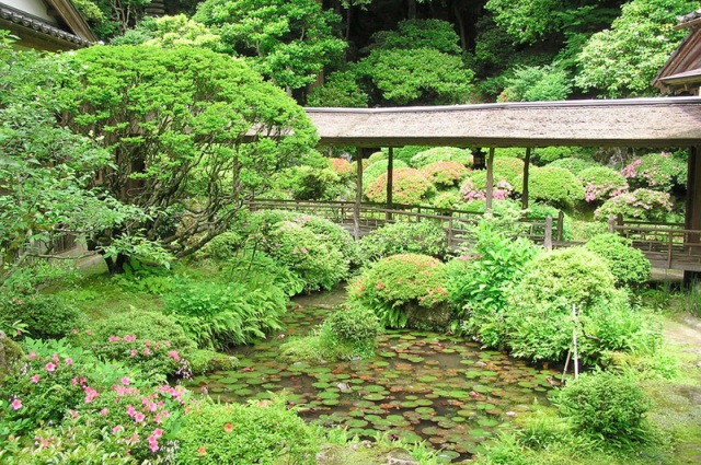 光久寺の茶庭