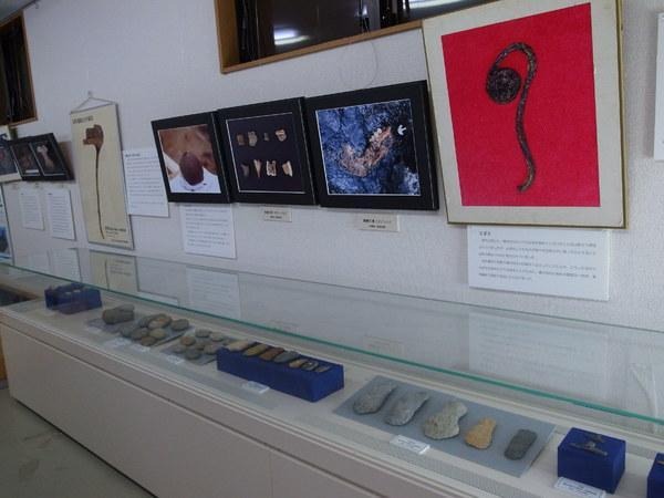 桜町遺跡の出土品を展示