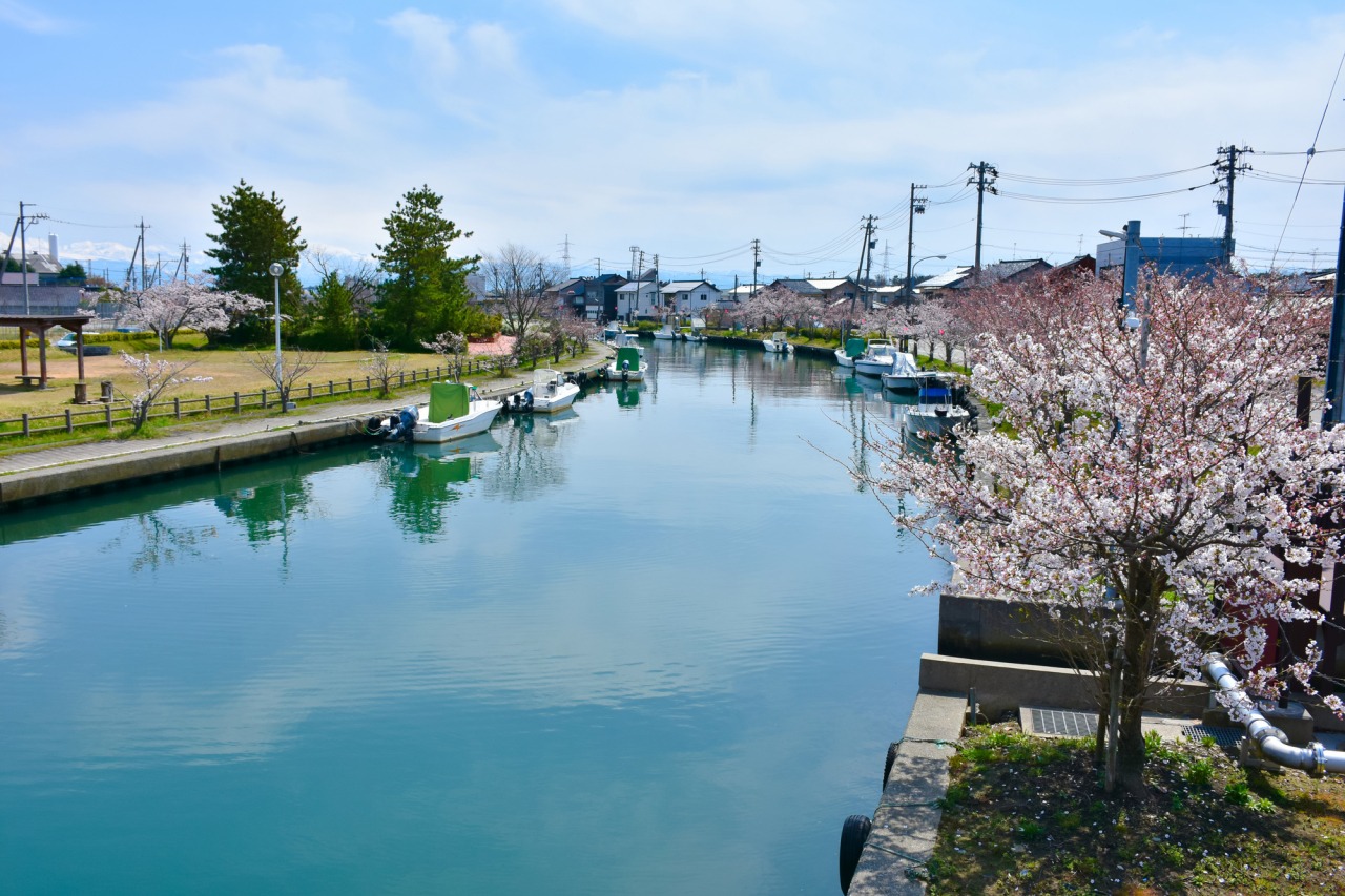 春めく内川も美しい