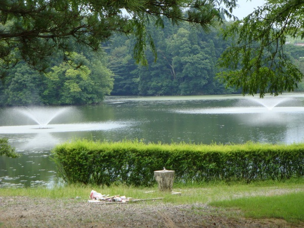 薬勝寺池公園