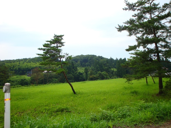 水上谷遺跡